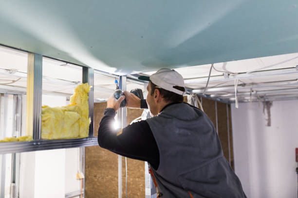 Best Eco-Friendly Insulation in Petaluma, CA