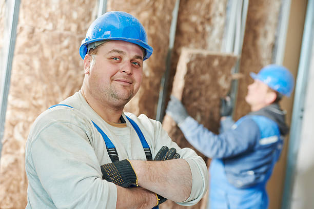 Best DIY Insulation Kits and Guidance in Petaluma, CA