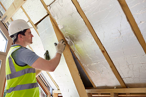 Best Energy Efficiency Insulation in Petaluma, CA