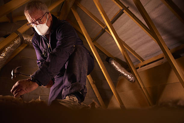 Best Blown-in Insulation in Petaluma, CA
