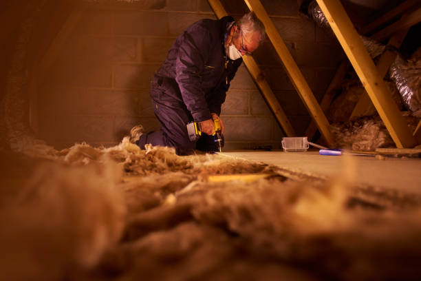 Best Commercial Insulation in Petaluma, CA